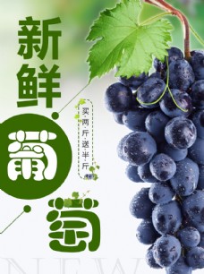 绿色蔬菜水果详情页水果海报素材葡萄