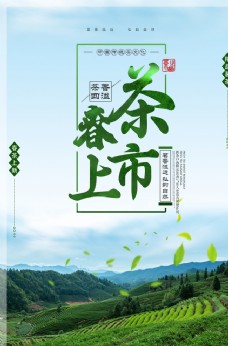 绿背景茶叶海报新茶上市创意海报