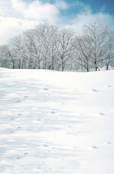 冬天雪地图片