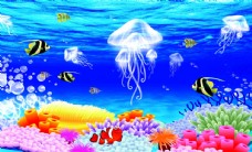 水底世界海底世界水母鱼海藻