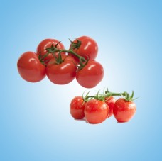 摆盘西红柿