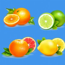 图片素材柠檬橙子