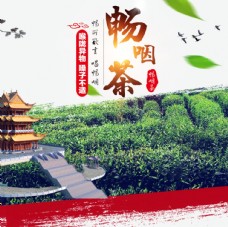 上海市茶叶海报新茶上市创意海报