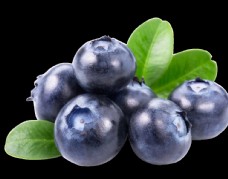 进口蔬果蓝莓高质量免扣