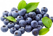 进口蔬果蓝莓高质量免扣图