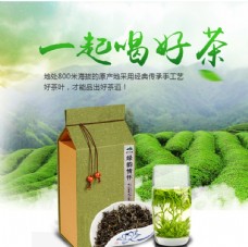 饮料包装白茶绿茶红茶毛峰普洱图片