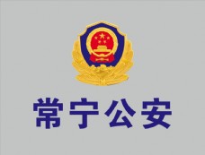 logo常宁公安标志