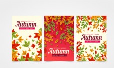 秋季树叶促销卡片