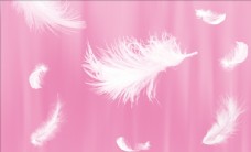 装饰品粉色羽毛背景墙