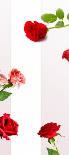 约惠情人节玫瑰花元素海报