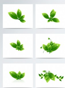 茶矢量绿色植物叶子元素素材