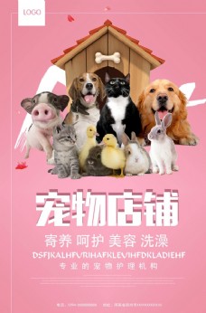宠物狗宠物海报