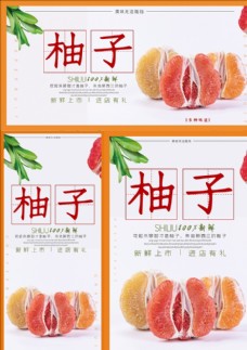 绿色蔬菜柚子海报展板展架三件套