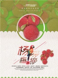 水果采购杨梅海报