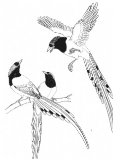 工笔花鸟中式古典花鸟工笔画图片