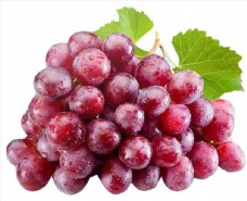 有机水果葡萄