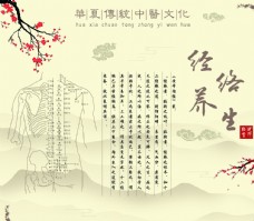 中华文化经络养生