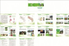 绿色食品投资画册