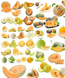 果蔬系列哈密瓜