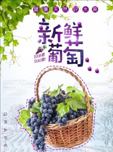 进口水果葡萄葡萄海报