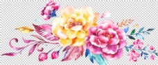 水彩手绘花卉花朵植物