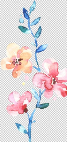 彩绘水彩手绘花卉花朵植物