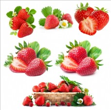 草地素材草莓