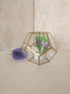 几何多边形玻璃花房摆件实拍图