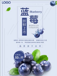 水果活动蓝莓