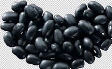 其他生物黑豆