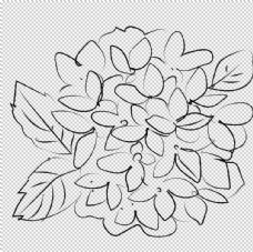 
                    手绘植物花卉图片
