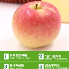 丰县 丑 苹果  大沙河 丑苹