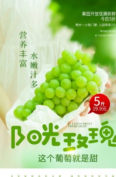 绿色水果阳光葡萄