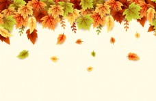 黄色背景秋天绘画树叶素材