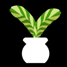 植物图标图形装饰海报素材