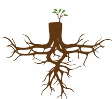 树木手绘树根