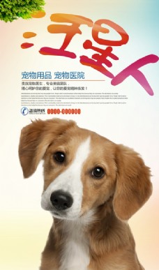 宠物狗宠物汪星人海报设计