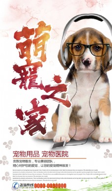 宠物医院时尚个性宠物海报设计