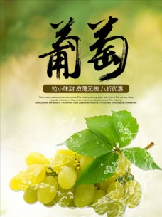 有机水果葡萄葡萄海报