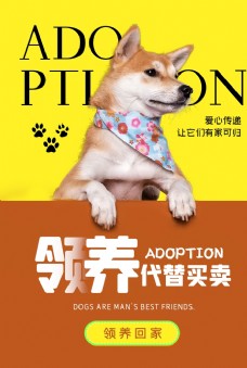 领养宠物活动宣传海报素材