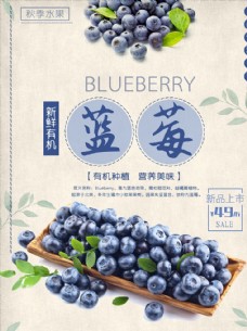 蓝莓 蓝莓海报