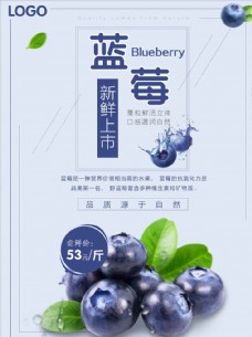 蔬果海报蓝莓