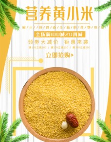 米黄营养黄小米