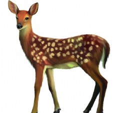 梅花鹿动物生物水彩装饰素材