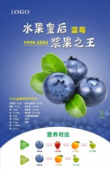 进口蔬果蓝莓宣传海报灯箱
