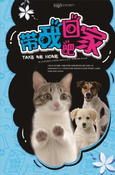 宠物狗宠物海报