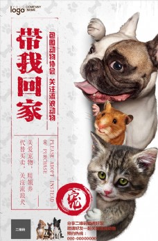 其他生物宠物海报