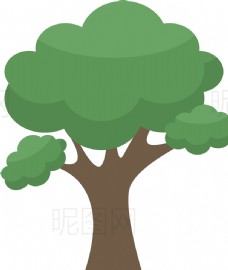 绿化景观大树