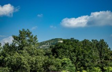 绿树远山树木绿叶天空家乡村庄摄影图片