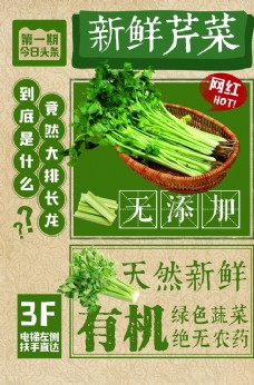 绿色蔬菜有机芹菜创意美食宣传海报
